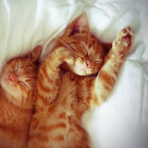 手打普宁胡椒猪肚丸