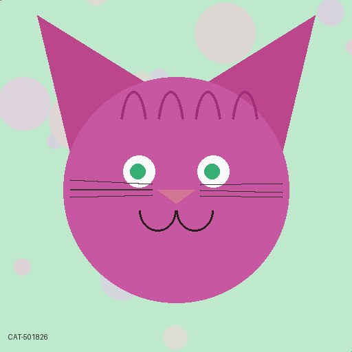貓市 · Plush Bear 2826