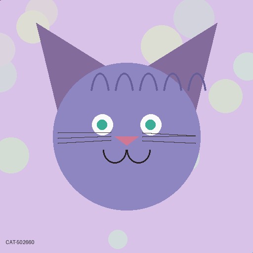 貓市 · Silver Necklace 3660