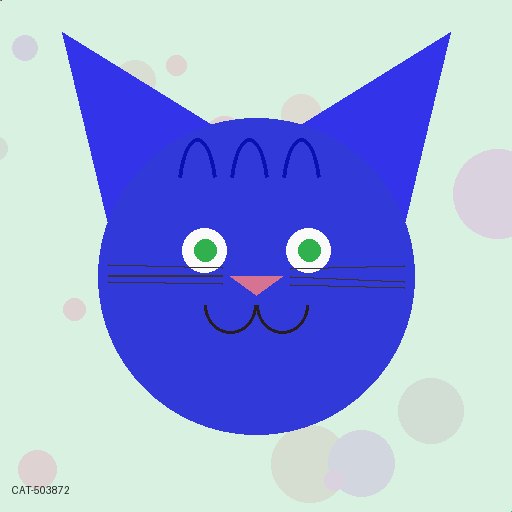 貓市 · Sparkling Water 4872